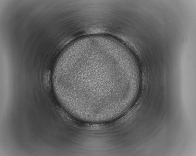 X0000113051265200909171534