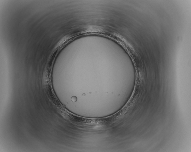 X0000113051266200909171534