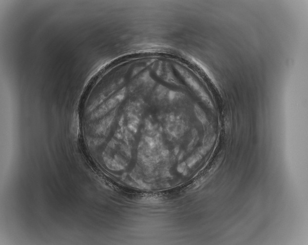 X0000113051267200909171534