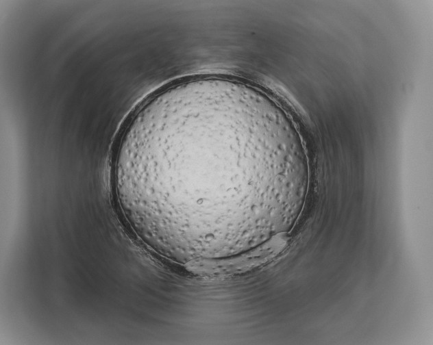 X0000113051268200909171534