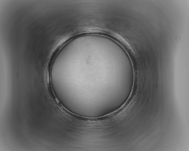 X0000113051269200909171534