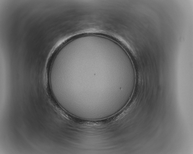 X0000113051270200909171534