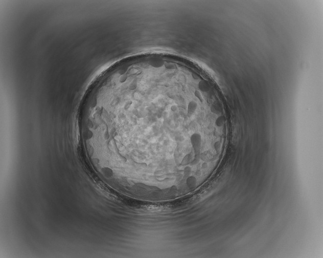 X0000113051271200909171534