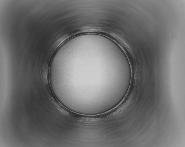 X0000113051273200909171534