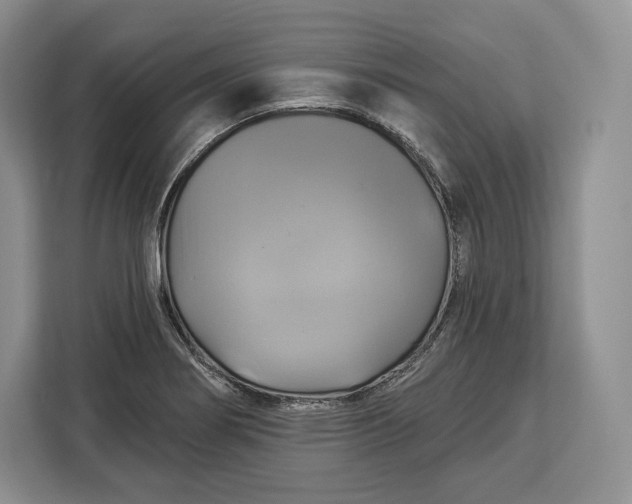 X0000113051274200909171534