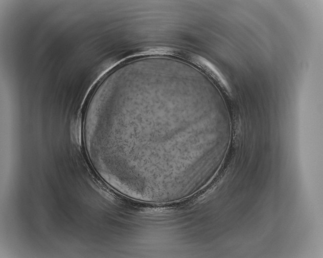 X0000113051276200909171534