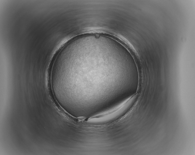 X0000113051277200909171534