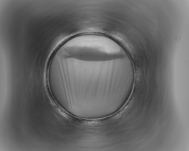 X0000113051278200909171534