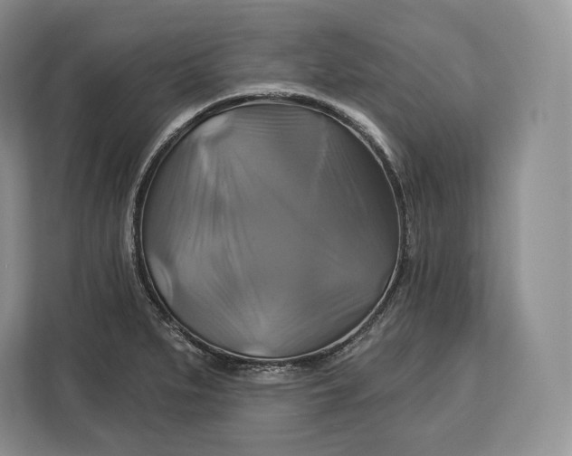 X0000113051279200909171534