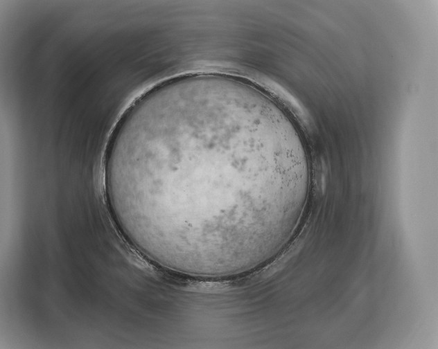 X0000113051280200909171534