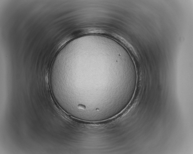 X0000113051281200909171534