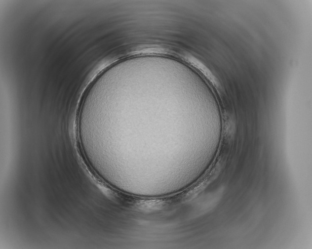 X0000113051282200909171534