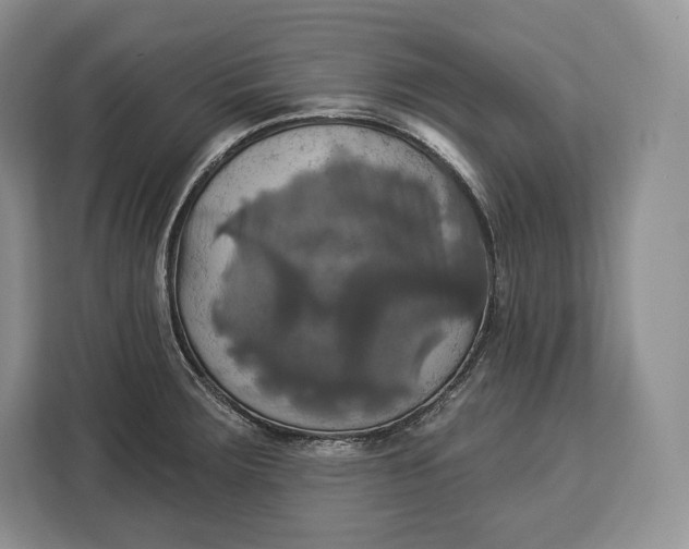 X0000113051283200909171534