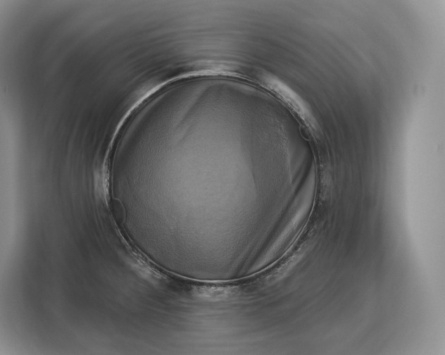 X0000113051284200909171534