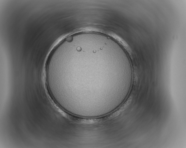 X0000113051286200909171534