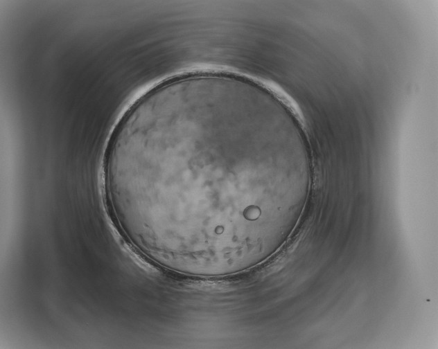 X0000113051287200909171533