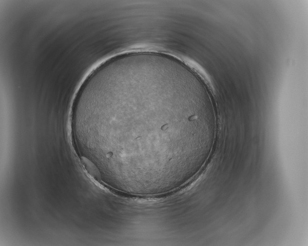 X0000113051288200909171533