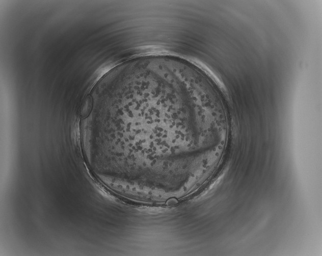 X0000113051289200909171533