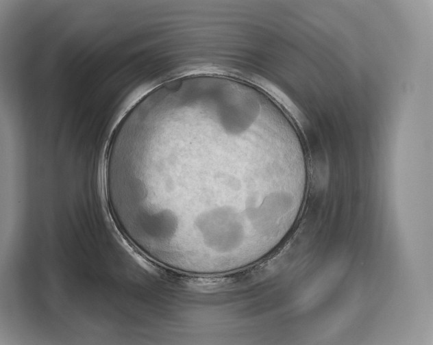 X0000113051290200909171533