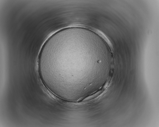 X0000113051292200909171533