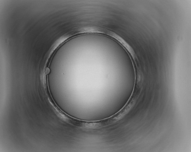 X0000113051293200909171533