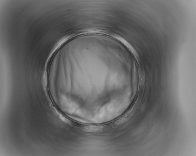 X0000113051294200909171533