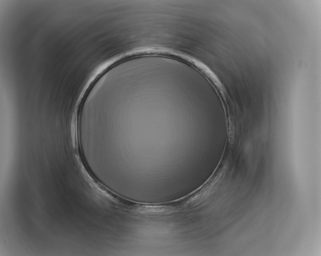 X0000113051295200909171533