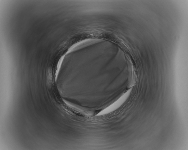 X0000113051298200909171533