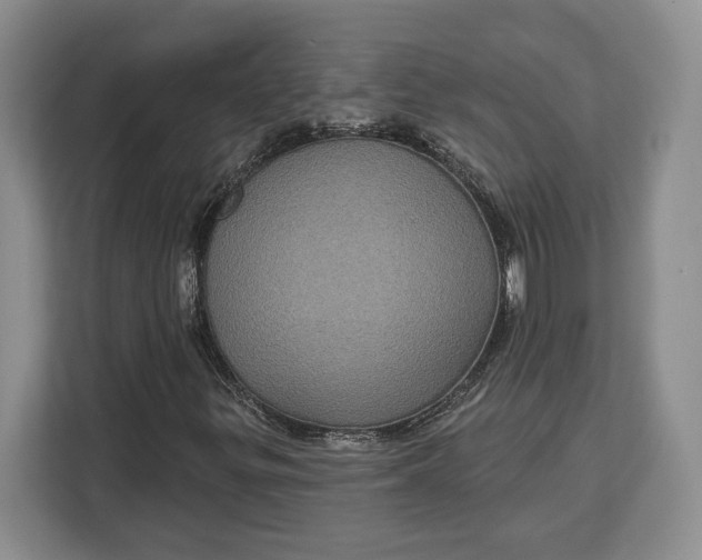 X0000113051299200909171533