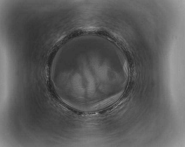 X0000113051301200909171533