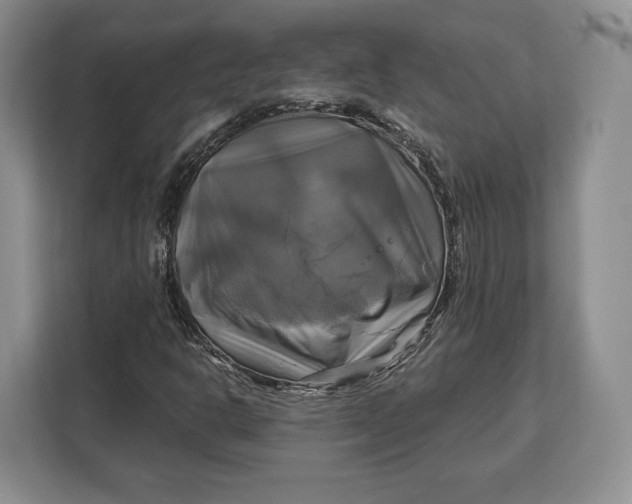 X0000113051302200909171533