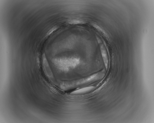 X0000113051305200909171533