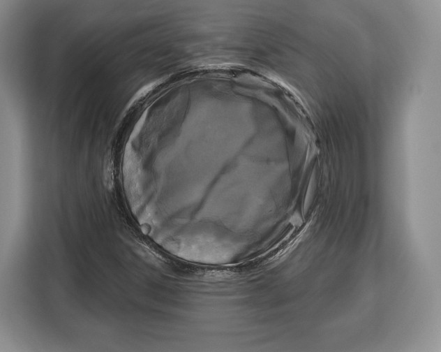 X0000113051306200909171533