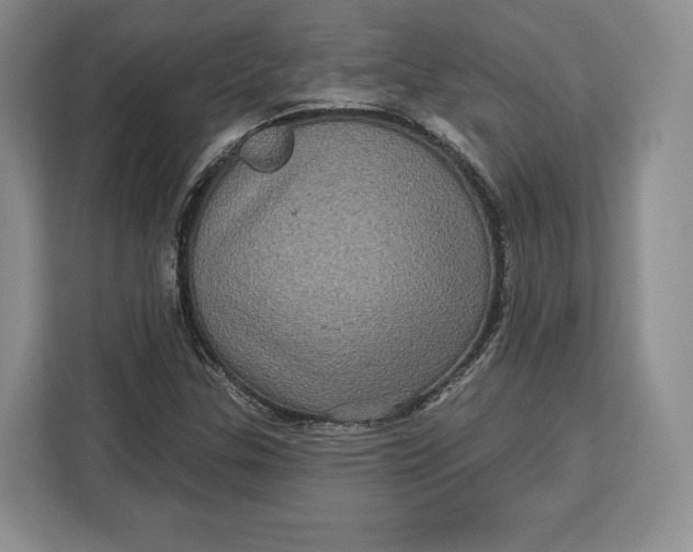 X0000113051307200909171533