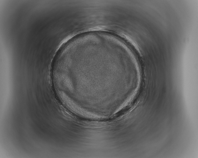 X0000113051308200909171533