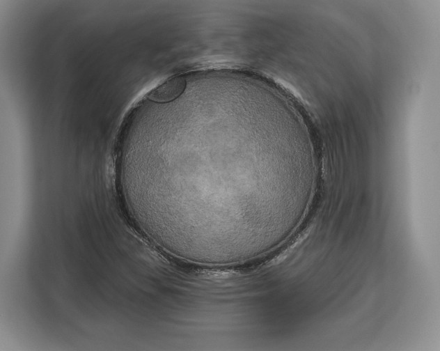 X0000113051309200909171533