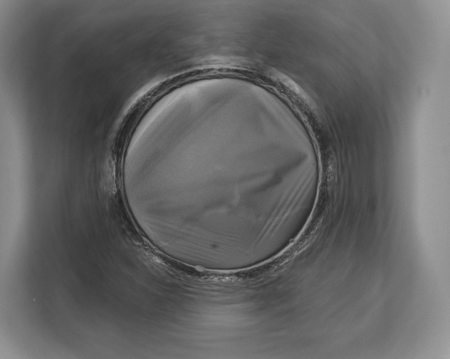 X0000113051310200909171533