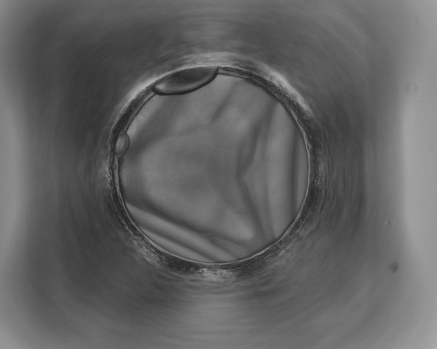 X0000113051312200909171533