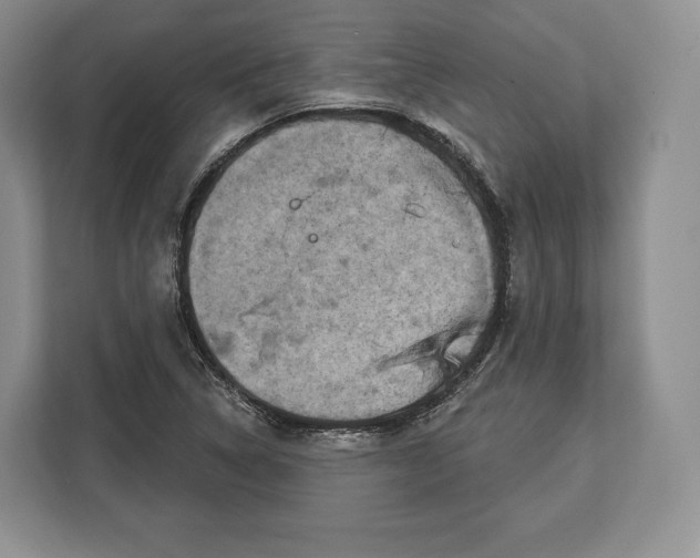 X0000113051314200909171533