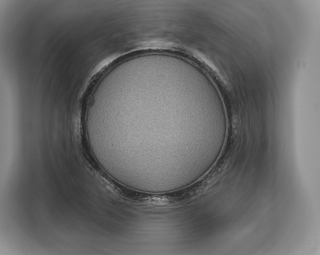 X0000113051315200909171533