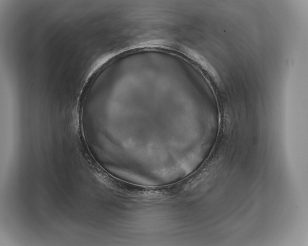 X0000113051316200909171533