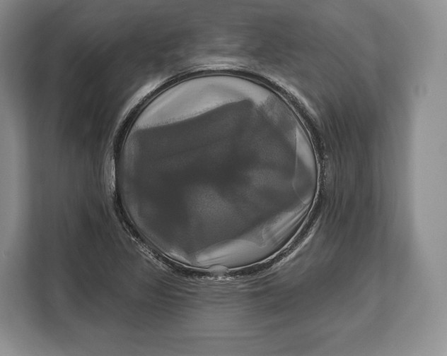 X0000113051317200909171533