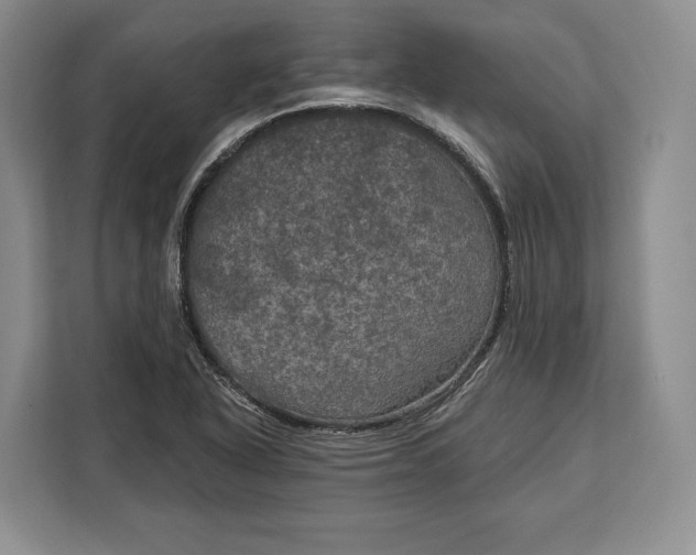 X0000113051318200909171533