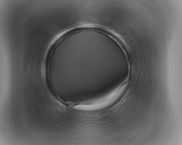 X0000113051319200909171533