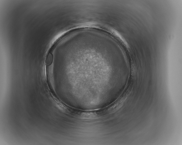 X0000113051320200909171533