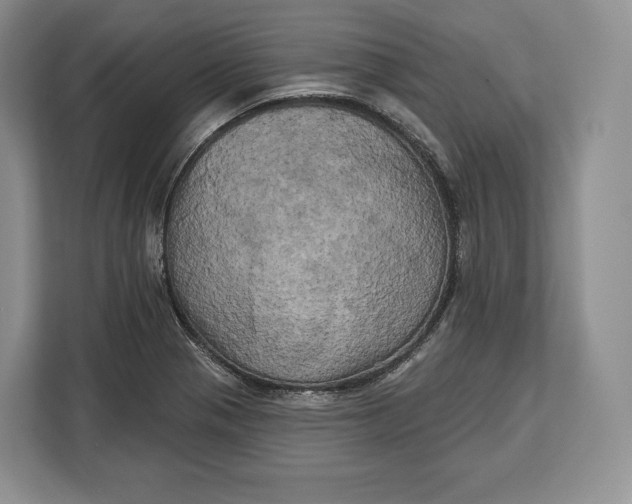 X0000113051321200909171533