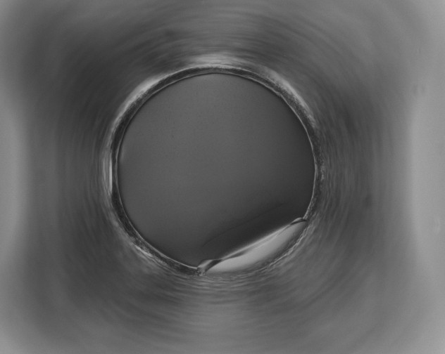 X0000113051323200909171533