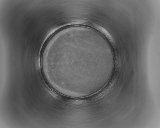 X0000113051324200909171533