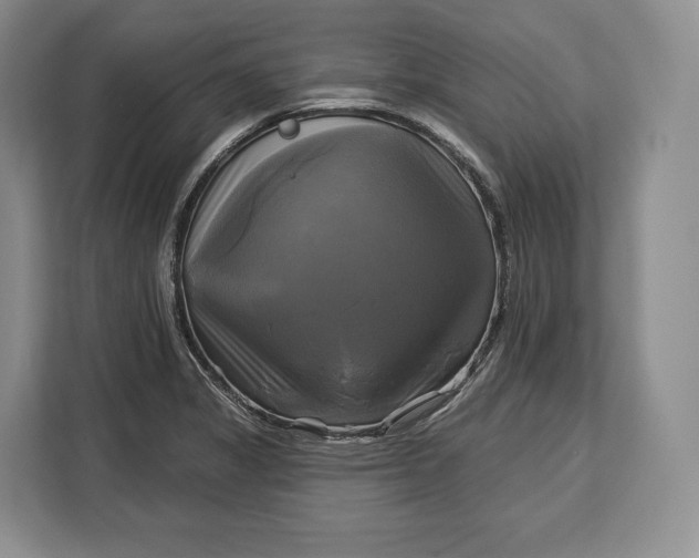 X0000113051325200909171533