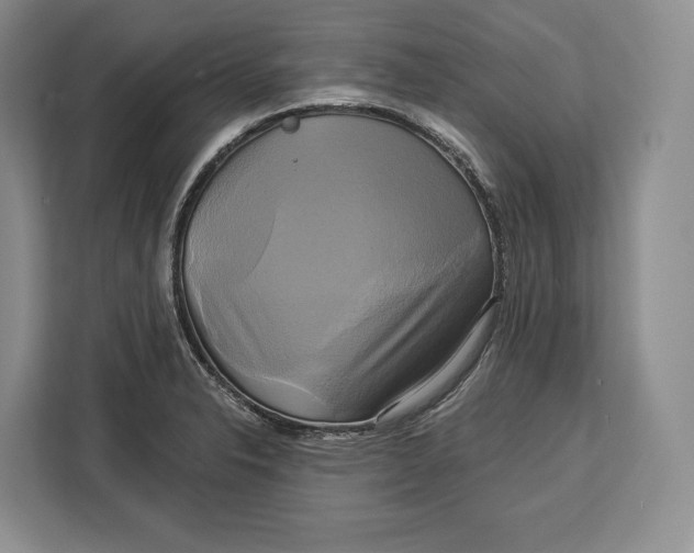 X0000113051326200909171533